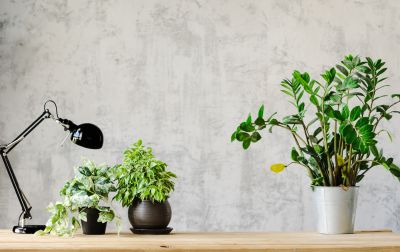 Kitchen Wallpaper Installation in Olathe, KS